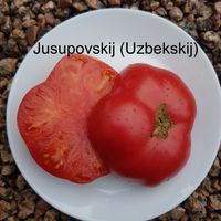 Jusupovskij (Uzbekskij)
